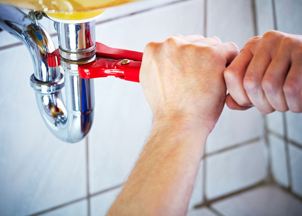 About Lone Tree Plumbers